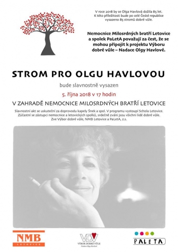 Strom olga